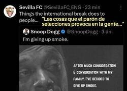 Enlace a Hasta Snoop Dogg dejó de fumar...