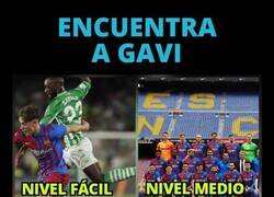 Enlace a Busca a Gavi