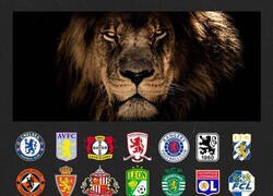 Enlace a Animales en escudos de equipos y selecciones