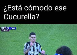 Enlace a Parece ser que sí