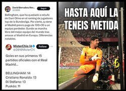 Enlace a David Bernabeu más conocido como 