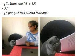 Enlace a Se nos escapó...