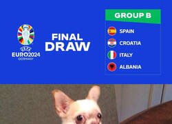Enlace a Menudo grupo para los albaneses