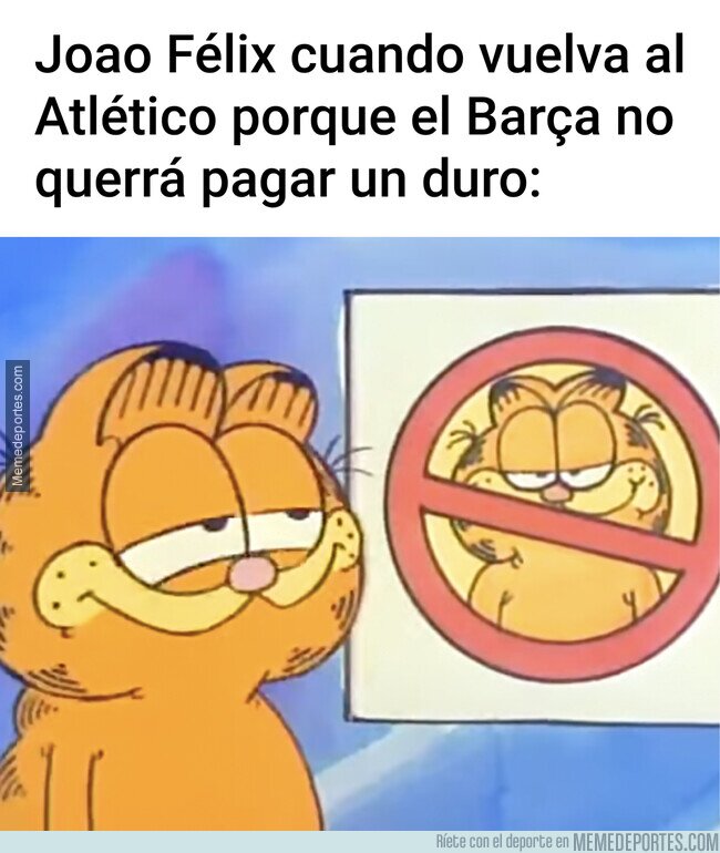 1199428 - No debió haber celebrado tanto