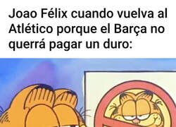 Enlace a No debió haber celebrado tanto