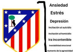 Enlace a Ciclo de vida del fan del At.Madrid