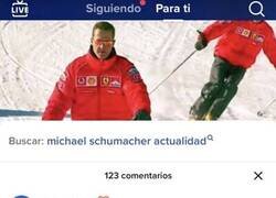 Enlace a ¿Qué es estado vegetativo?