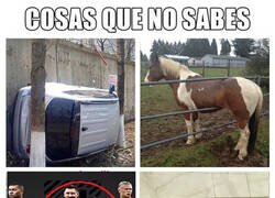 Enlace a Nominación vitalicia