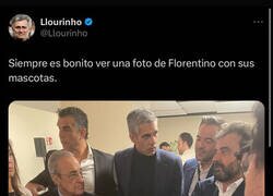 Enlace a Florentino y sus mascotas, por @Llourinho