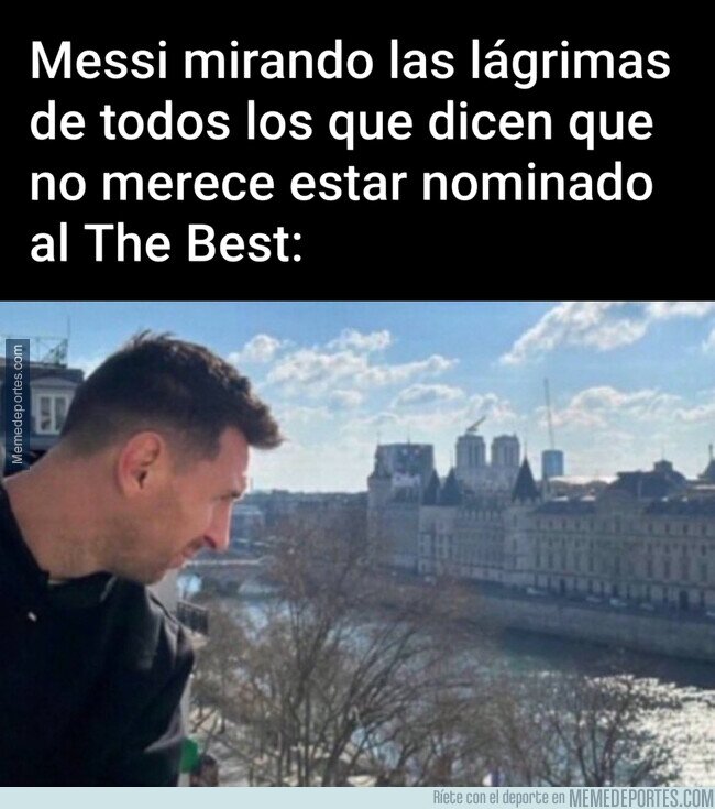 1199842 - Los mira desde arriba