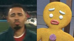 Enlace a Son demasiado parecidos