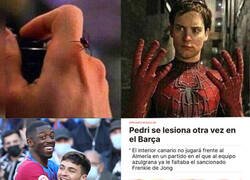 Enlace a Acción-Reacción