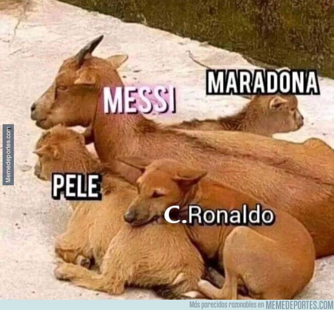 1199912 - El debate del GOAT