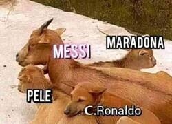 Enlace a El debate del GOAT