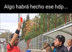 Enlace a Roja directa para Misifú