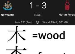 Enlace a ¿No es bonita esta coincidencia?