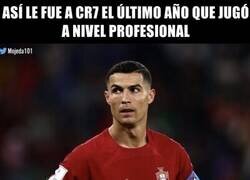 Enlace a Encontró su nivel