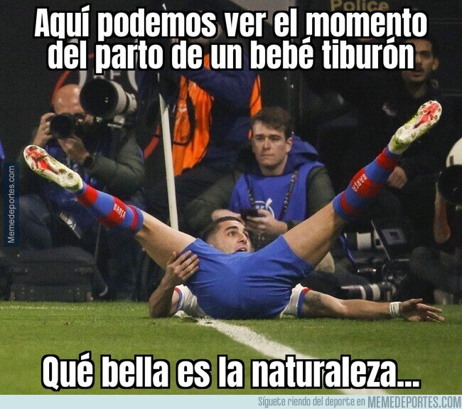 1200552 - Digno del National Geographic