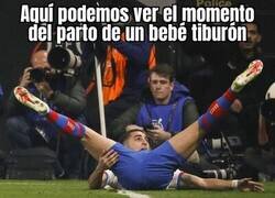 Enlace a Digno del National Geographic