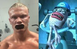 Enlace a Separados al nacer