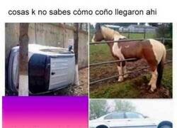 Enlace a Misterios de la humanidad