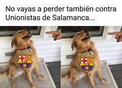 Enlace a No serán capaces, ¿no?