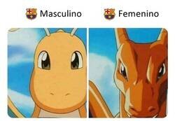 Enlace a A ver si aprenden algo