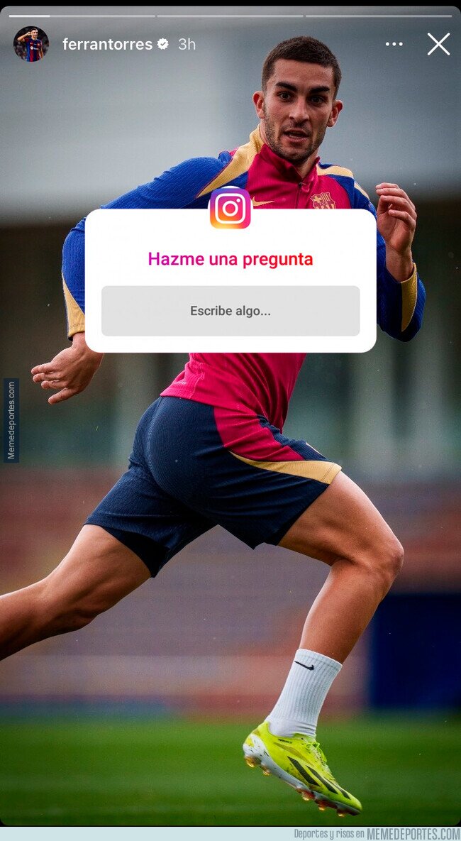 1200745 - Creo que Ferrán ama su pelo