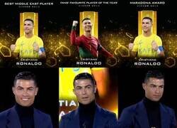 Enlace a Los verdaderos premios individuales 