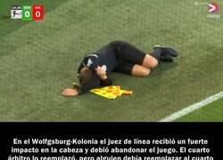 Enlace a Insólito caso ocurrido en Alemania