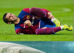 Enlace a Tiburón lesionado