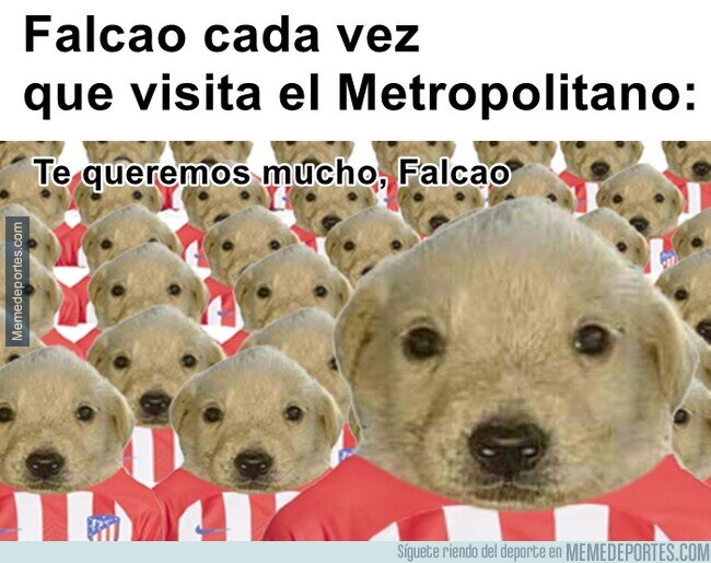 1201212 - Un colchonero para toda la vida
