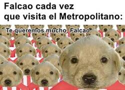 Enlace a Un colchonero para toda la vida