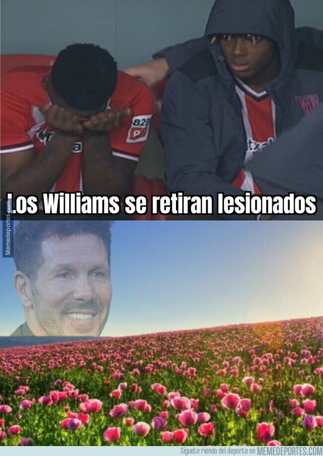 1201259 - La flor del Cholo
