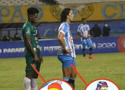 Enlace a Yo también me quedaría mirando