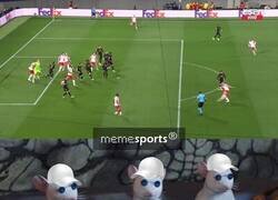 Enlace a ADN madridista puro