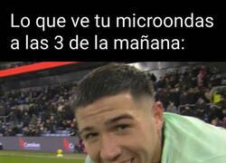 Enlace a Gusanillo nocturno