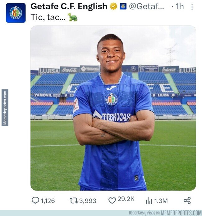 1201680 - Una tortuga azulona