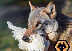 Enlace a Asi fueron los momentos destacados del Spurs vs Wolves