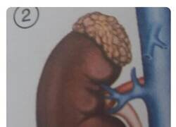 Enlace a Pero si es igualito