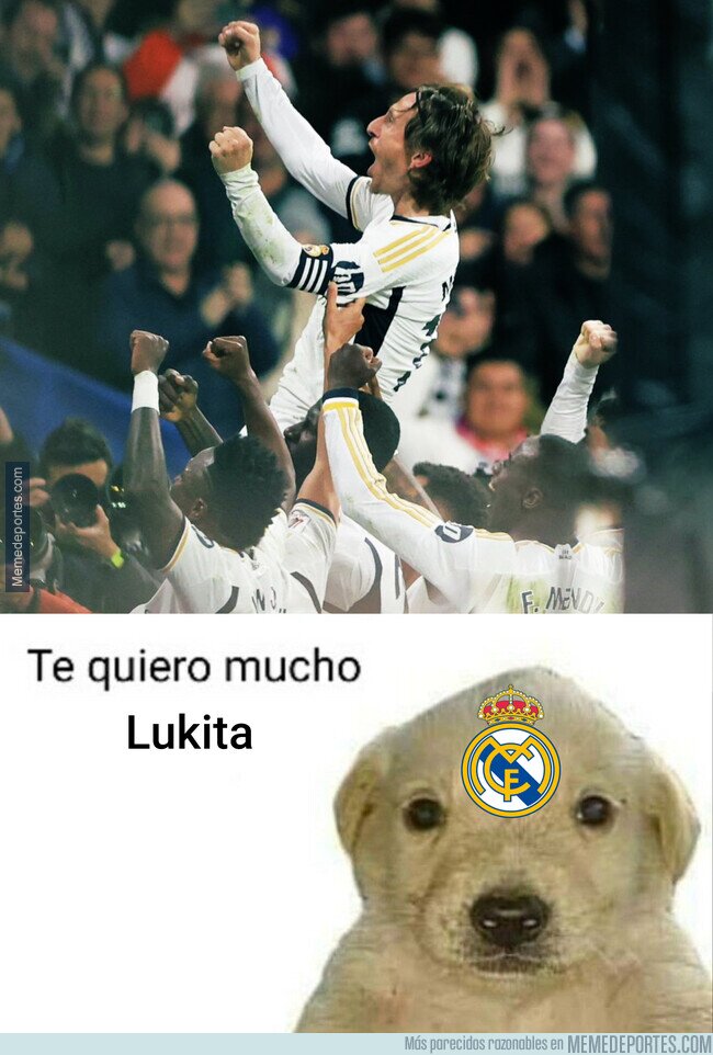 1201970 - Como para no quererle