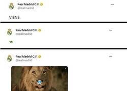 Enlace a Hoy más que nunca, Tic Tac