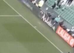 Enlace a El bestial golpe de la linier contra una cámara en el Betis-Athletic