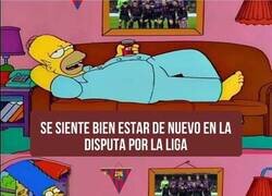 Enlace a Culpa del céspet