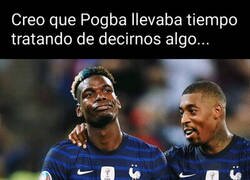 Enlace a Estaba dejando pistas