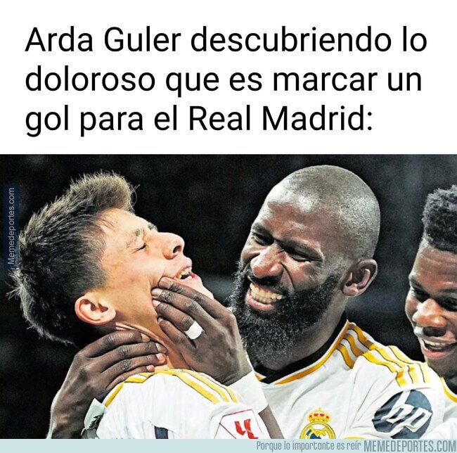 1202416 - Pero Antonio, déjalo tranquilo...