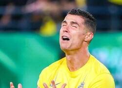 Enlace a La pasión del Bicho