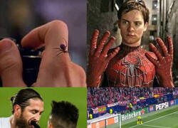 Enlace a A Lautaro lo mordió Sergio Ramos