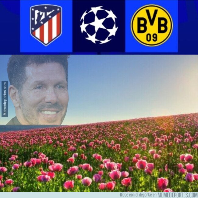 1202569 - El más agraciado de todos