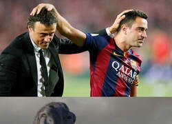 Enlace a Duelo de viejos conocidos